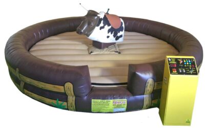 Where to Rent Mechanical Bull Online