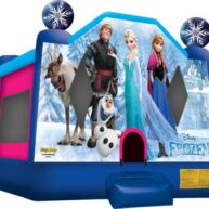 Where to Rent Frozen-Themed Bounce House Online