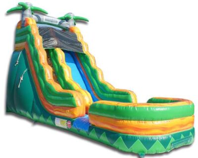 Tropical Palm Tree Slide