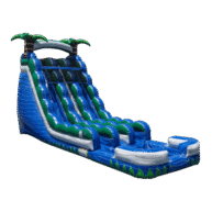 25 Ft Double Lane Water Slide