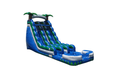 25 Ft Double Lane Water Slide