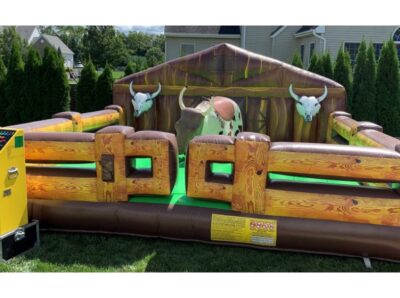 Mechanical Bull