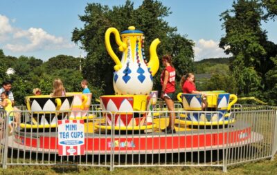 Mini Tea Cups - Image 4