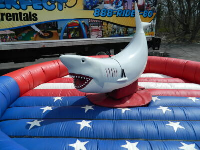 Mechanical Shark