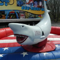 Mechanical Shark