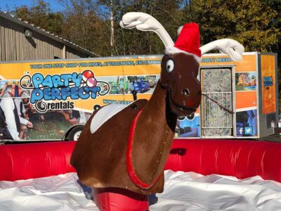 Mechanical Reindeer