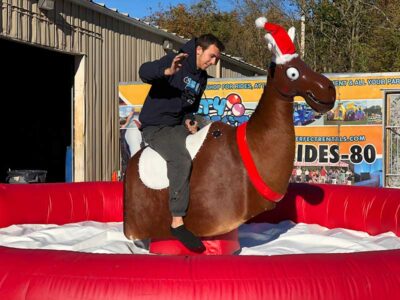 Mechanical Reindeer - Image 2